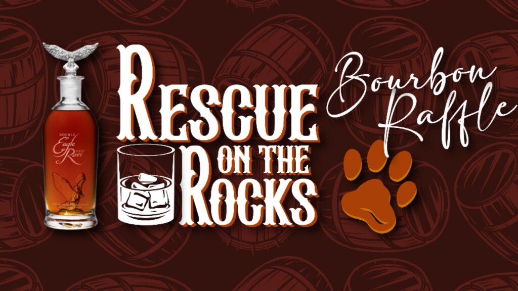 Photo Resize 2024 10 22t175455834