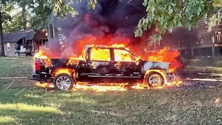 Truck catches fire after owner tries to pull down tree - WNKY News 40 ...