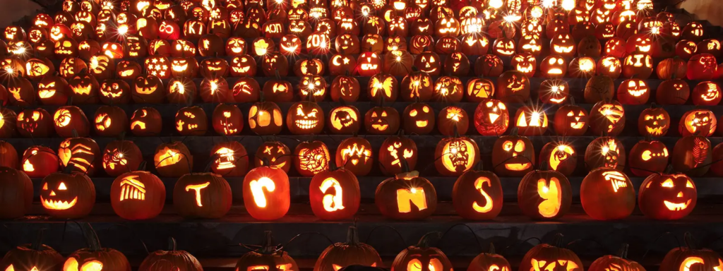 Pumpkins 1600x600