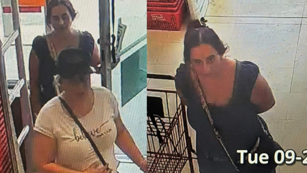 Untitled Design 20241003 211807 0000