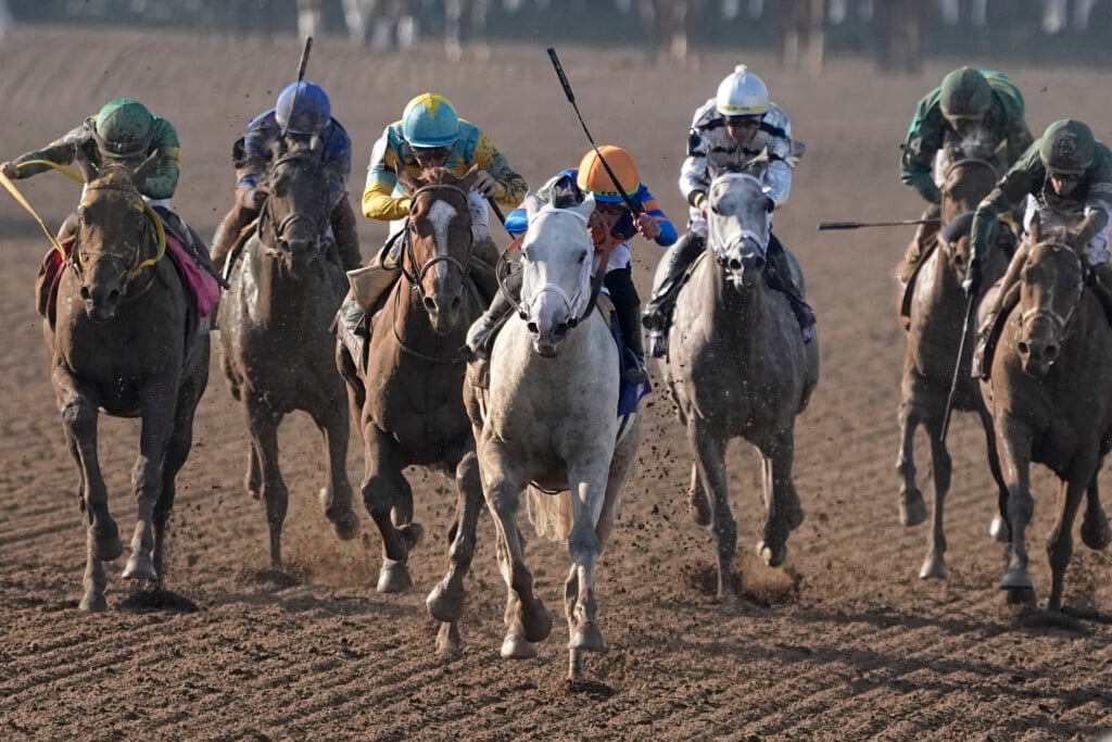 A record 80 foreign horses are preentered for Breeders' Cup world