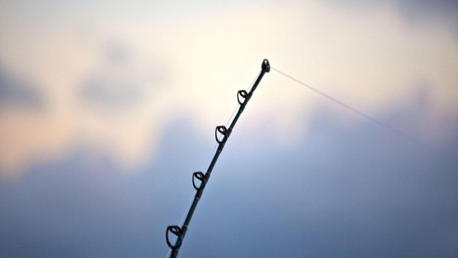 Fishing Day for youth to be hosted at Basil Griffin Park WNKY News 40