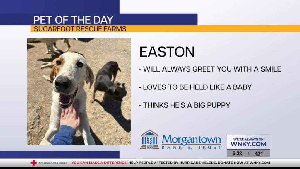 Potd: Easton