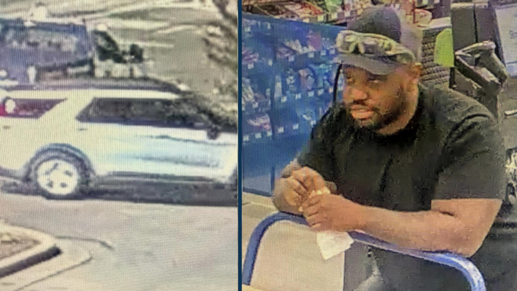 Franklin Theft Suspect