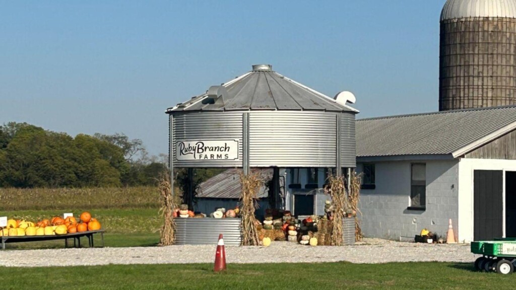 Photo Resize 2024 10 11t152647227