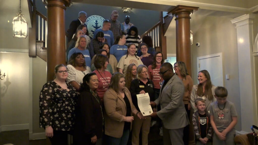 Adoption Awareness Month Vo00 00 00 00still001