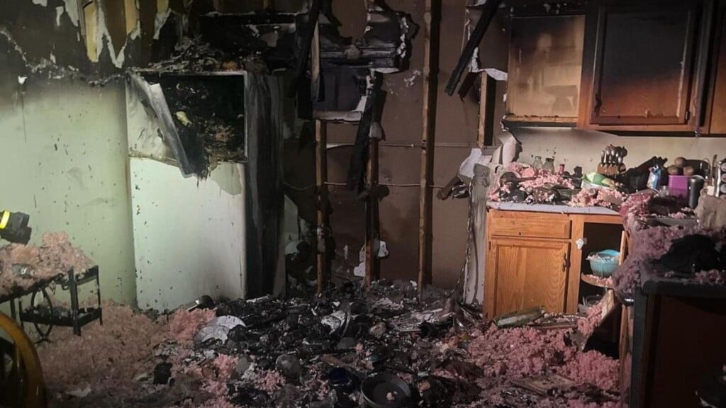 Photo Resize 2024 11 01t115808289