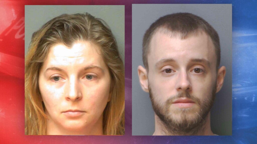 Photo Resize 2024 11 01t113550797