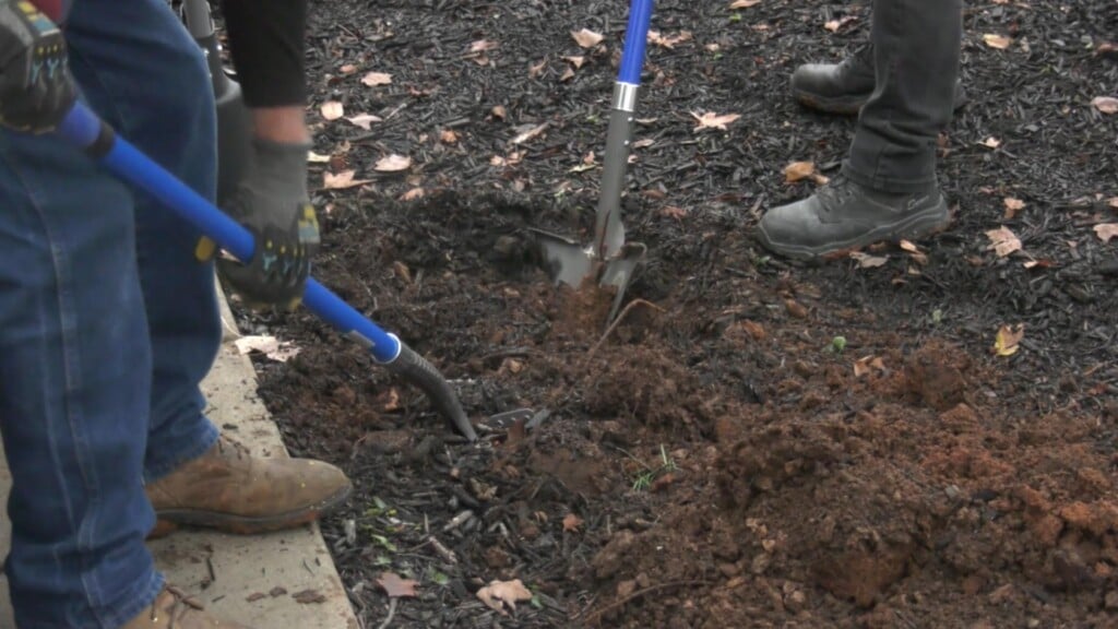 Photo Resize 2024 11 14t181036086