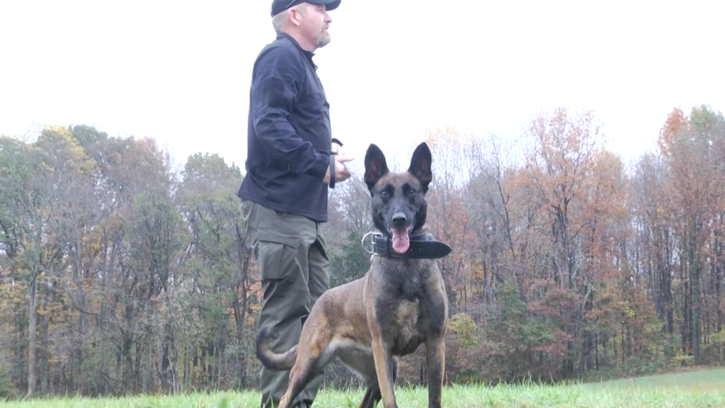 K9 Nova Vo00 00 45 32still001