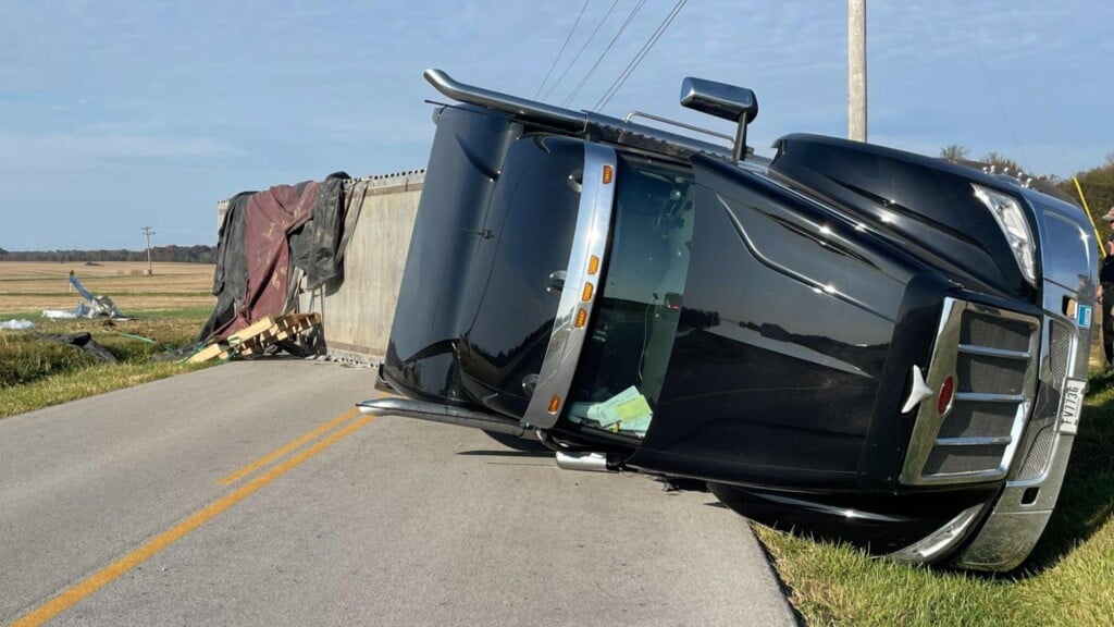 Photo Resize 2024 11 03t100952178