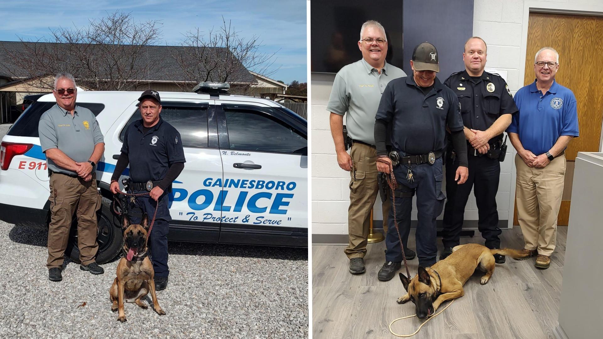 UPDATE: K-9 Nova to continue service with new handler - WNKY News 40 ...