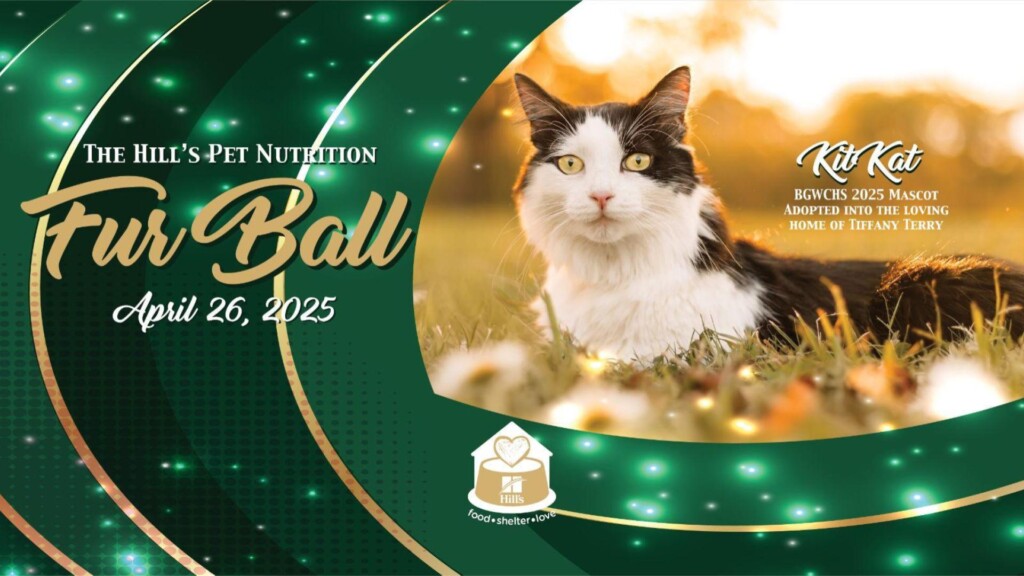 Photo Resize 2024 12 20t165323127