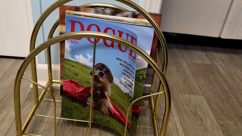 Dogue Bobby Costner Pkg00 00 03 12still001