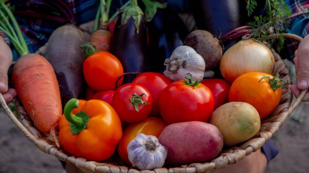 Photo Resize 2024 12 26t121424665