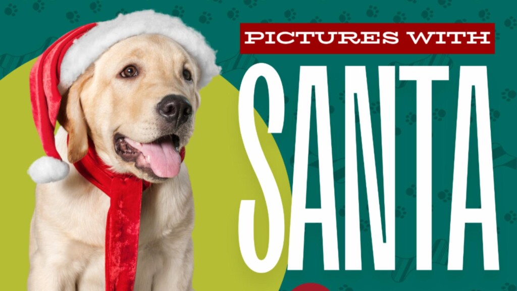 Photo Resize 2024 12 11t150114113