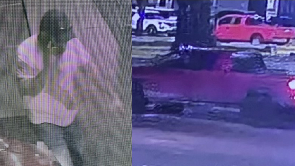 Hit And Run Suspect