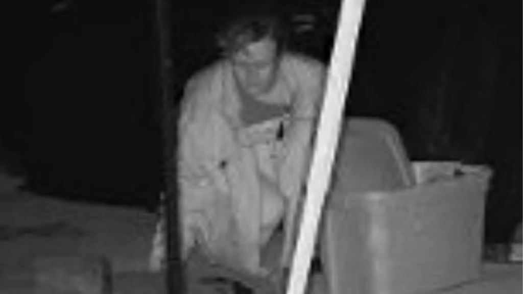 Untitled Design 20250105 105712 0000