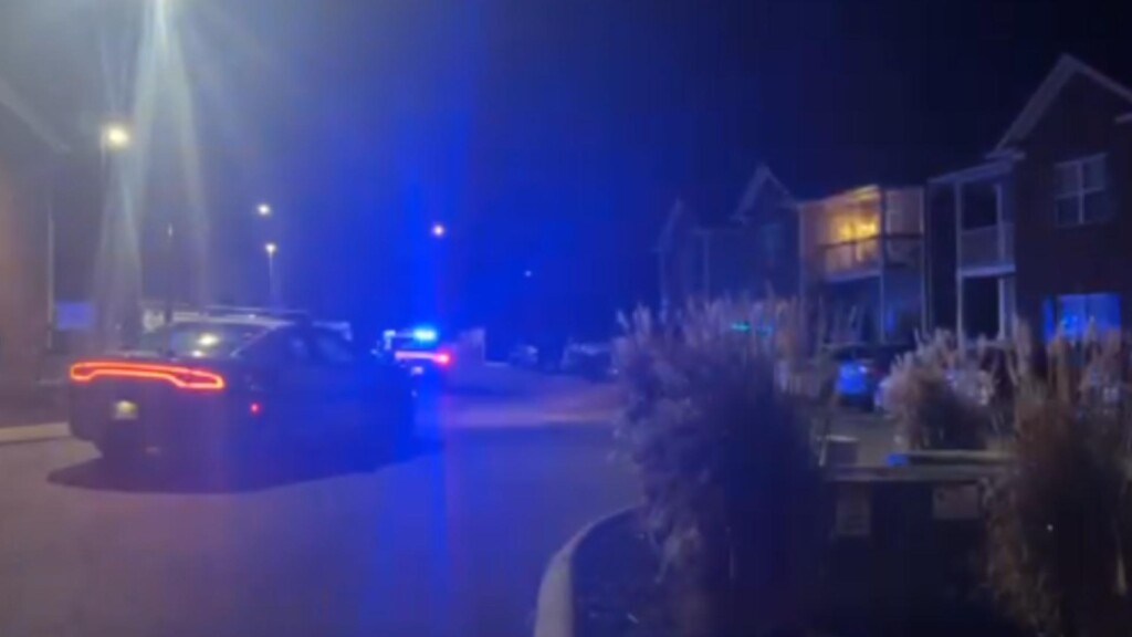 Photo Resize 2025 01 26t083002349