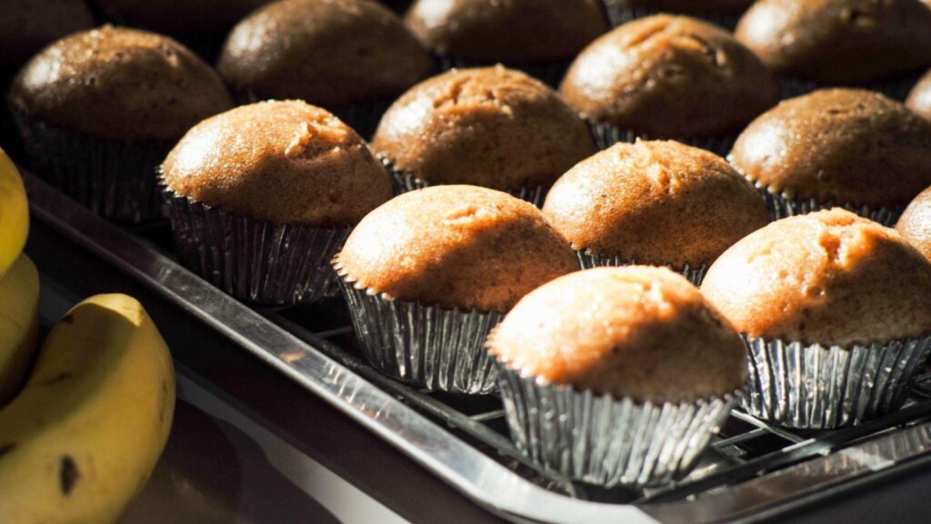 Photo Resize 2025 02 11t113733935