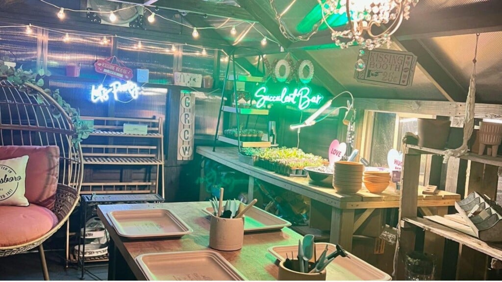 Photo Resize 2025 02 05t171701416