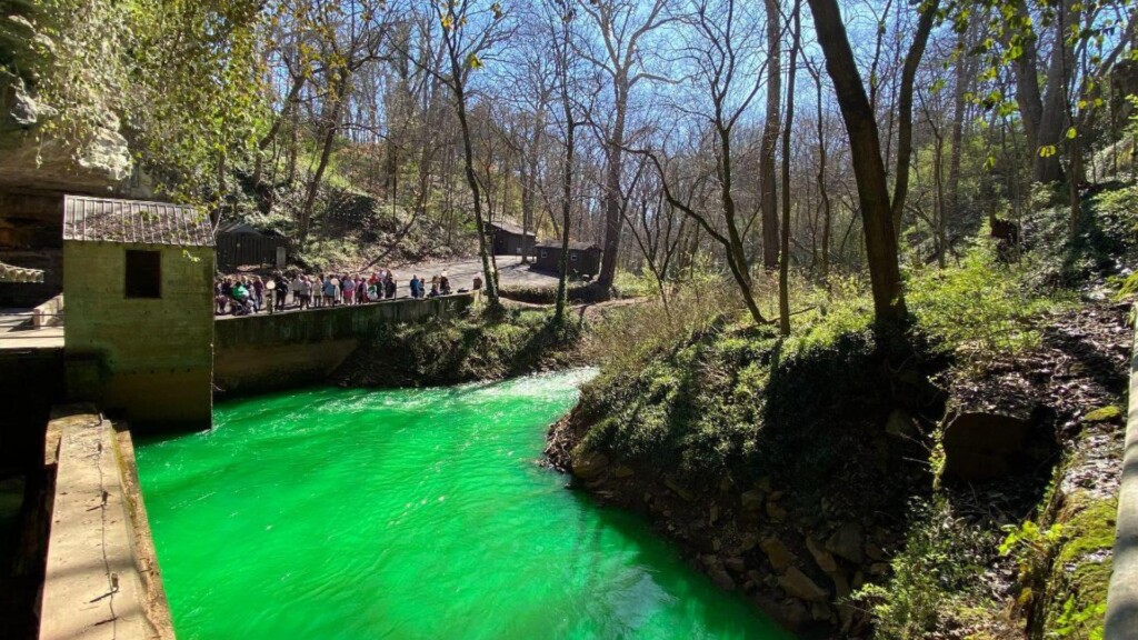 Photo Resize 2025 02 26t164909434