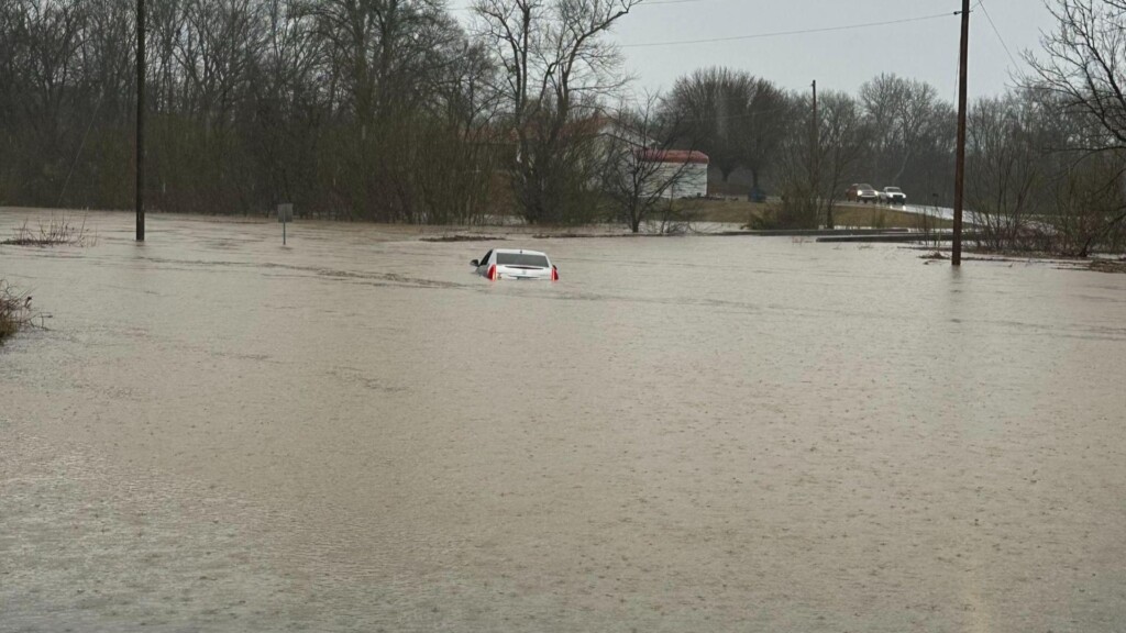 Photo Resize 2025 02 15t112822260