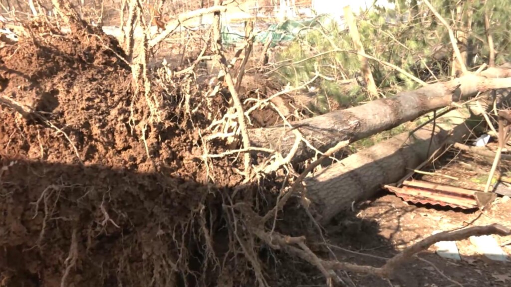 Photo Resize 2025 02 17t175639033