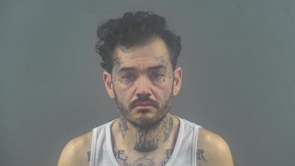 Photo Resize 2025 02 19t145352233