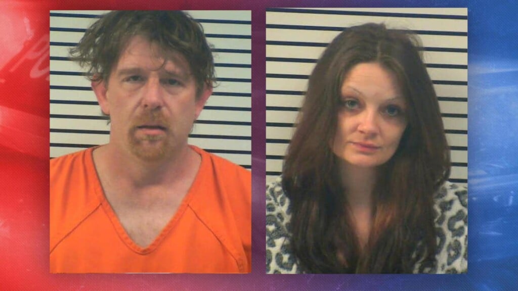 Photo Resize 2025 02 10t101358556