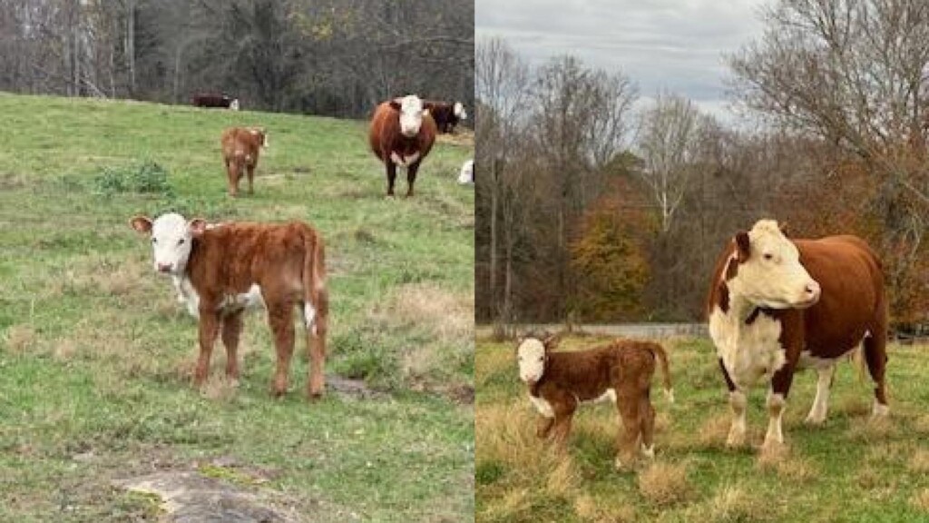 Photo Resize 2025 02 04t102116277