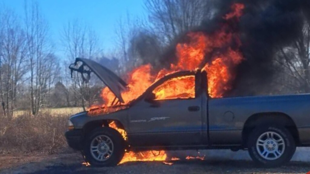 Photo Resize 2025 03 10t152856021