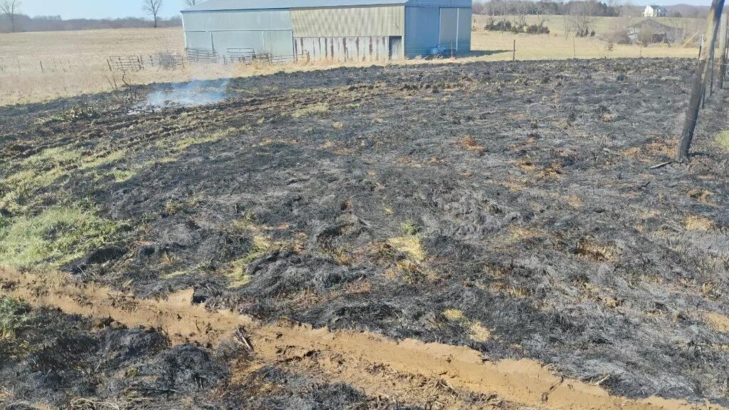 Photo Resize 2025 03 03t135440052