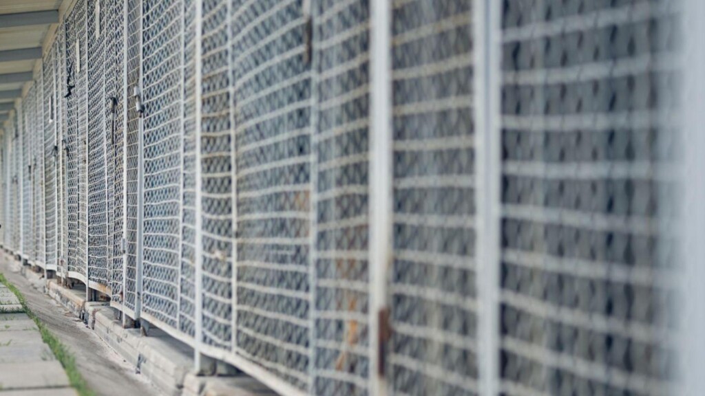 Photo Resize 2025 03 17t154520384