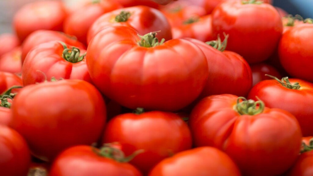 Photo Resize 2025 04 02t121834338