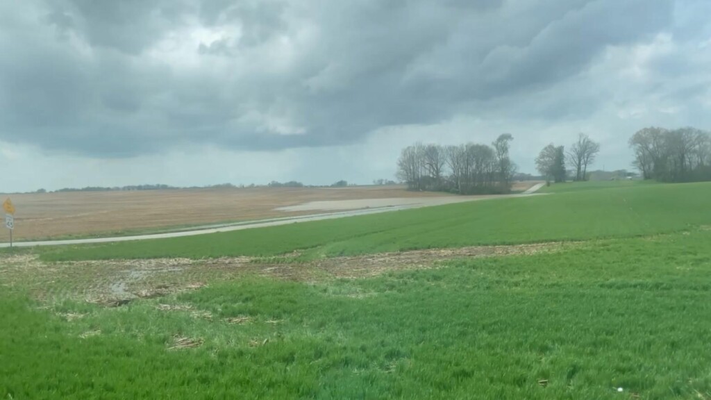 Photo Resize 2025 04 04t181422893