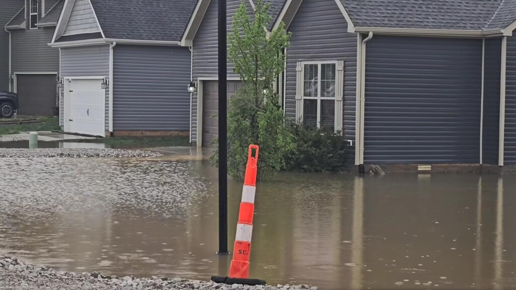 Photo Resize 2025 04 08t123347015