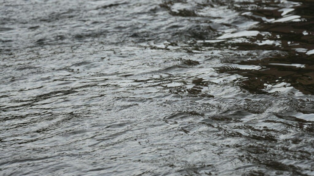 Photo Resize 2025 04 24t153653914