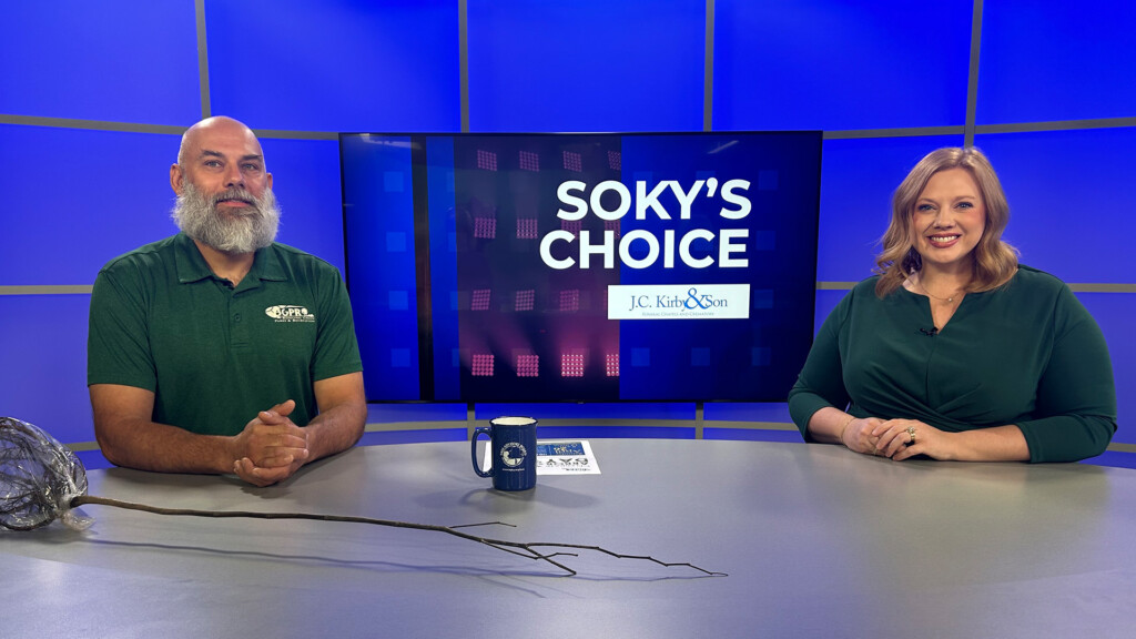 Soky's Choice 041525