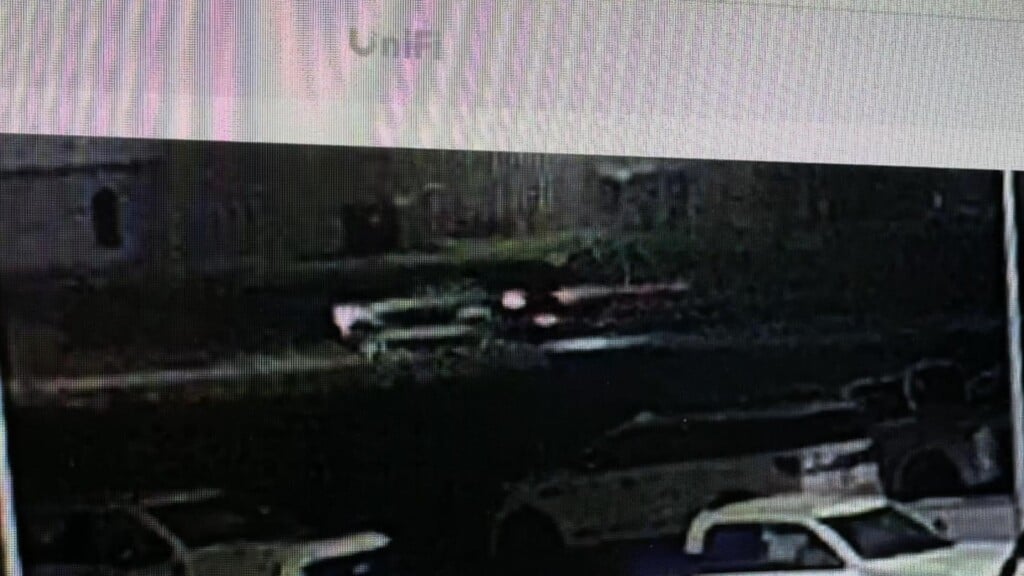 Photo Resize 2025 04 07t101733225