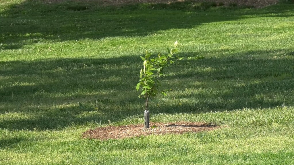 Photo Resize 2025 04 30t164419243