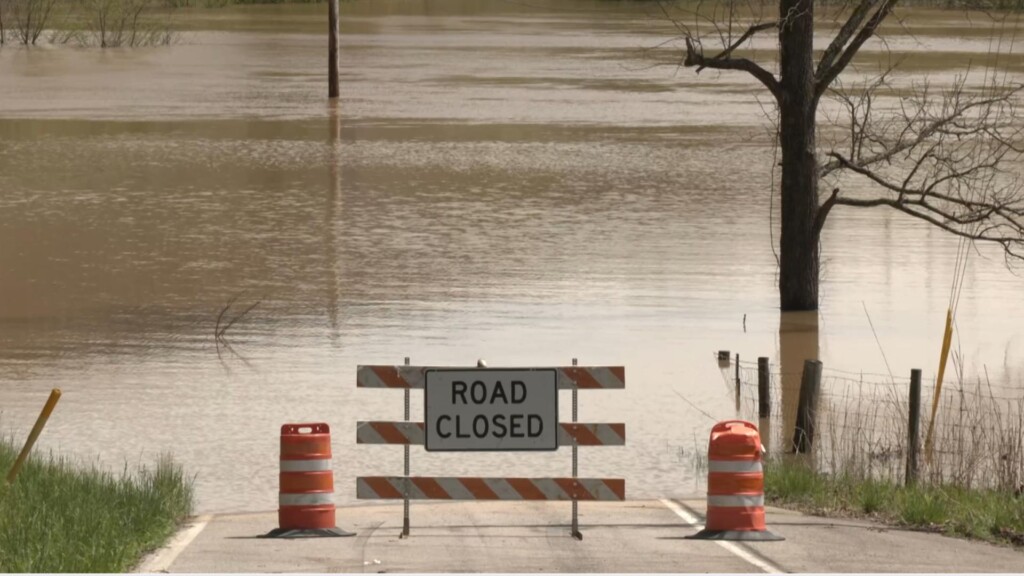 Photo Resize 2025 04 07t173908334