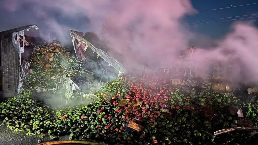 Photo Resize 2025 05 02t162809810