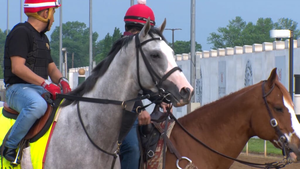 Local Derby Horses Pkg00 00 43 14still001
