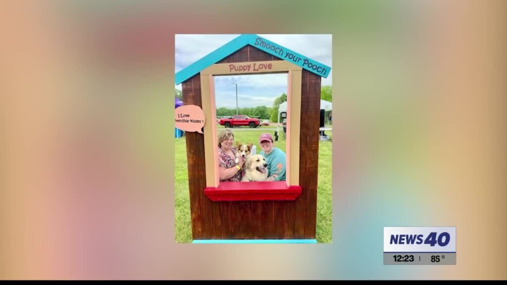 Community Driven: Brawa Derby Dog Festival & Shake Your Paw Ball