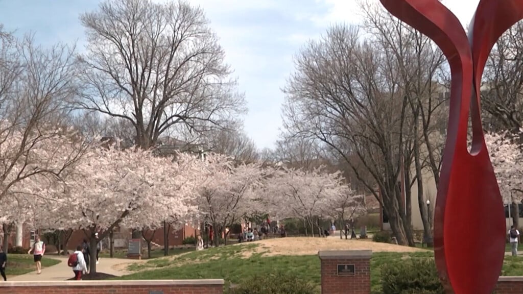 Wku File Vo00 00 18 17still001