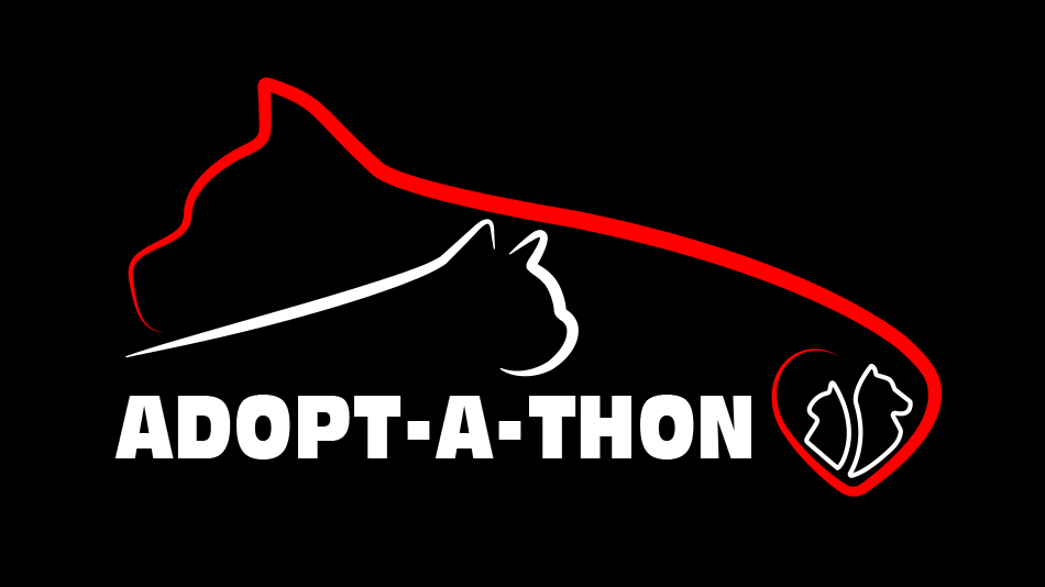 Adopt