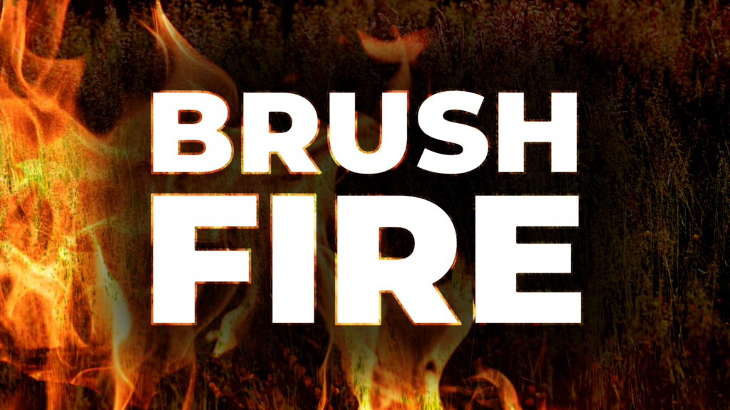 Brush Fire