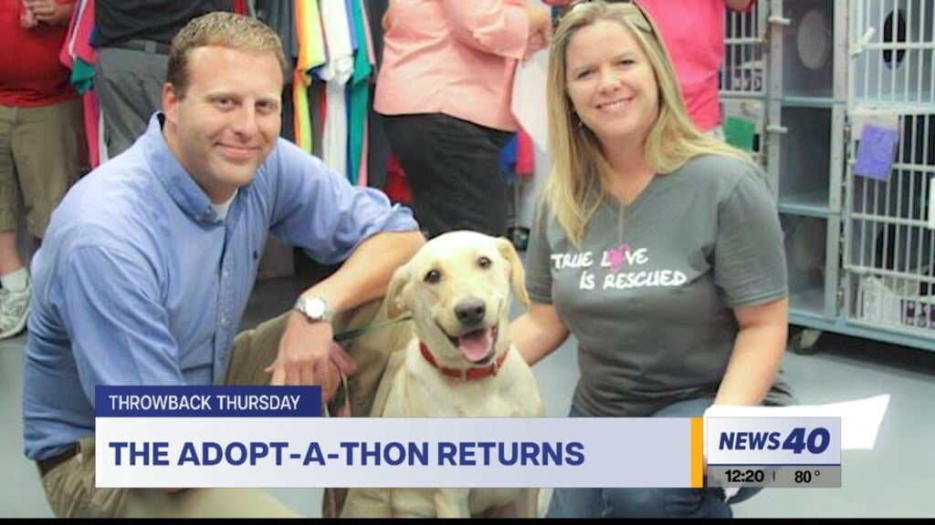 Throwback Thursday: Adoptathon