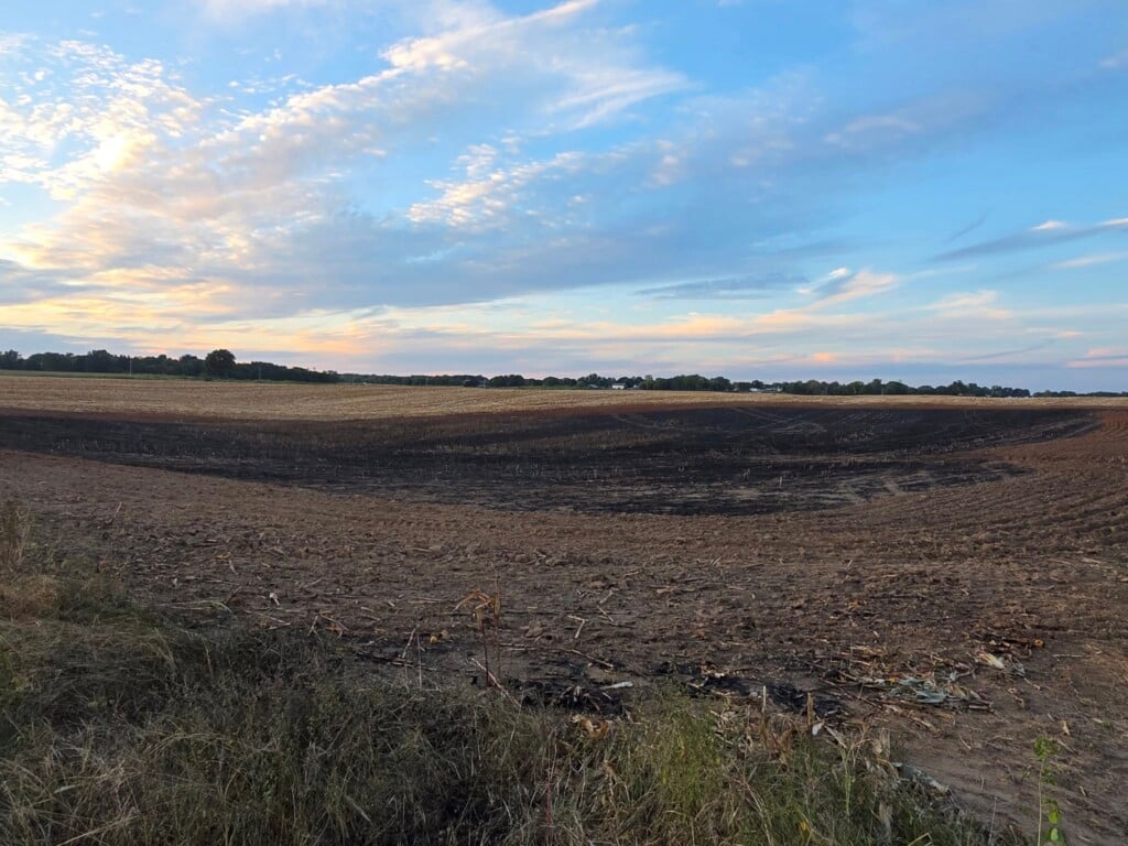 Woodburn Brush Fire
